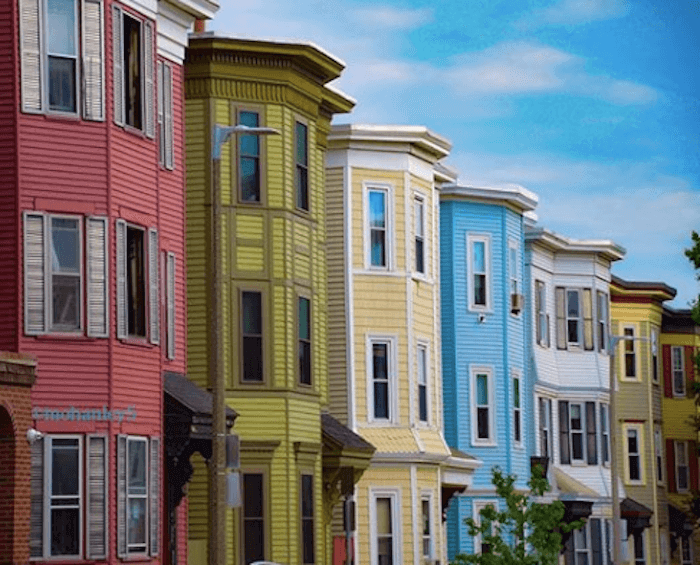 Houses in Southie
