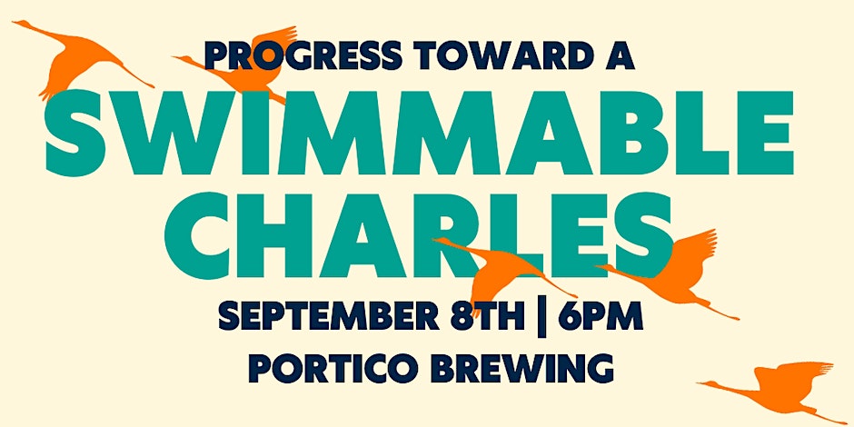 Progress Toward a Swimmable Charles!